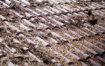 Fair Moor roof cleaning companies