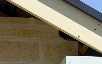 soffit repair Fair Moor