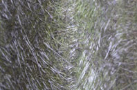 Fair Moor fibreglass roof work